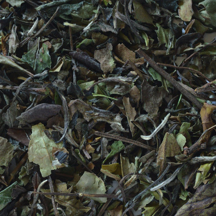 Pai mu tan (white tea)