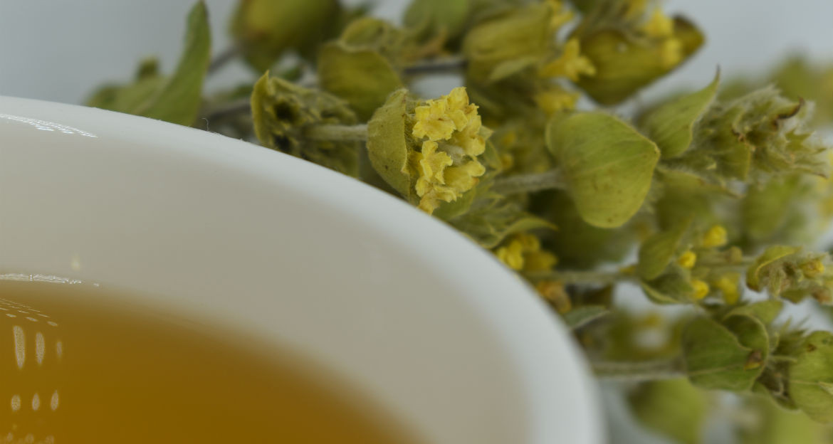 Mountain tea and its benefits